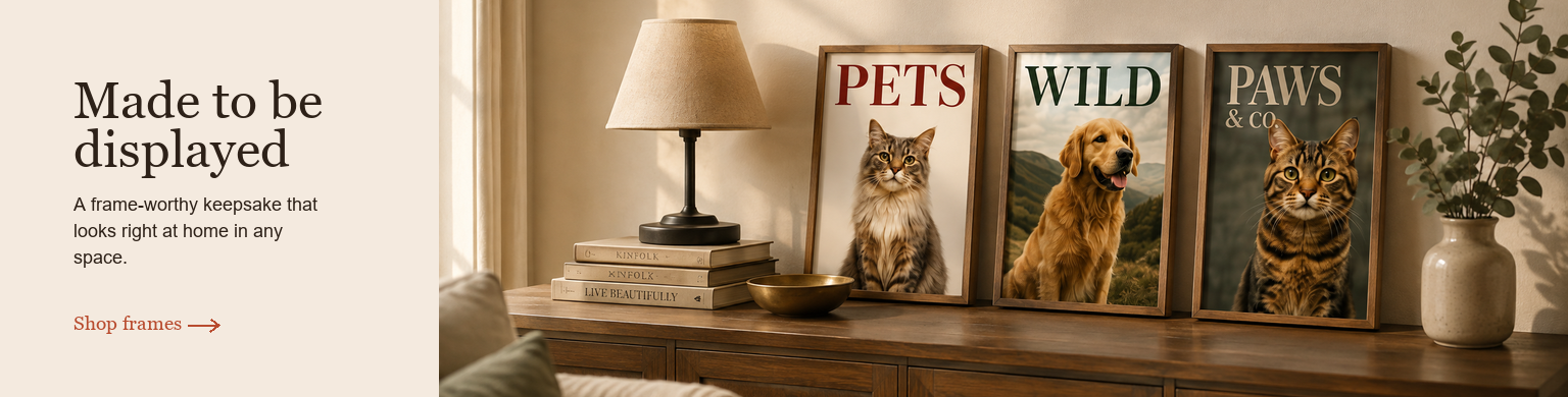 Made to be displayed — framed personalised pet magazine covers in a warm home