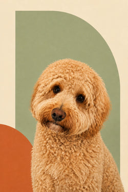 The Modern Muse personalised pet artwork example