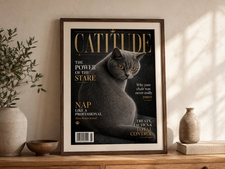 Catitude framed artwork in a home - illustrative lifestyle mockup