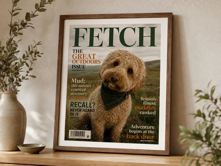 The Cover Star framed artwork in a home - illustrative lifestyle mockup