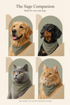 The Sage Companion style examples: two dogs and two cats